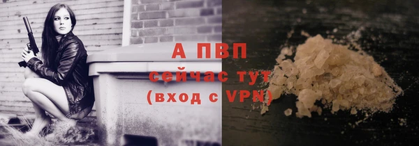 ПСИЛОЦИБИНОВЫЕ ГРИБЫ Лихославль