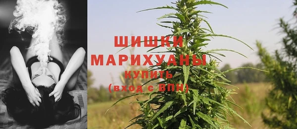 ПСИЛОЦИБИНОВЫЕ ГРИБЫ Лихославль