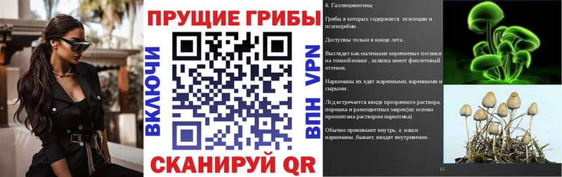 Псилоцибиновые грибы MAGIC MUSHROOMS  Павловская 